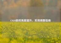 CSGO游戏亮度提升，实用调整指南