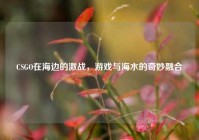 CSGO在海边的激战，游戏与海水的奇妙融合