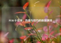 PUBG十佳球，热血与技巧的极致演绎