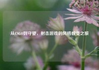 从CSGO到守望，射击游戏的风格蜕变之旅
