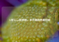 14年Steam游戏路，岁月里的热爱回响