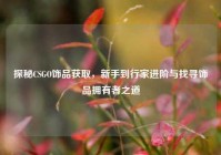 探秘CSGO饰品获取，新手到行家进阶与找寻饰品拥有者之道