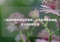 三国杀经典牌型战术解析，从万箭齐发到桃园结义的制胜之道