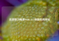 迅游助力畅享PUBG Lite极致吃鸡体验