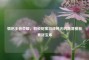 情侣王者荣耀，解锁甜蜜游戏时光的高清模板素材宝库