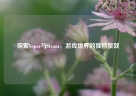 探索Vopor与Steam，游戏世界的独特景致