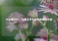 PUBG聊天栏，沟通艺术与战术制胜的关键