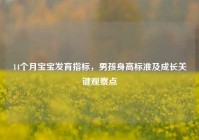 14个月宝宝发育指标，男孩身高标准及成长关键观察点