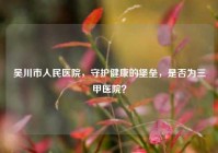 吴川市人民医院，守护健康的堡垒，是否为三甲医院？
