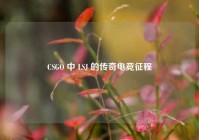 CSGO 中 LSJ 的传奇电竞征程