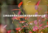 江西省皮肤医院总院位置及肌肤健康守护介绍
