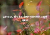 古韵临安，探寻山水诗画间的璀璨明珠及其所属省份