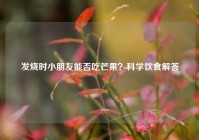 发烧时小朋友能否吃芒果？科学饮食解答
