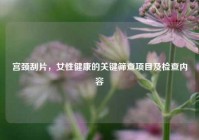 宫颈刮片，女性健康的关键筛查项目及检查内容