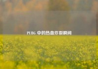 PUBG 中的热血炸裂瞬间