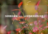 当表情包邂逅CSGO，GIF中的电竞欢乐天地