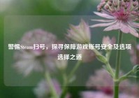 警惕Steam扫号，探寻保障游戏账号安全及选项选择之道