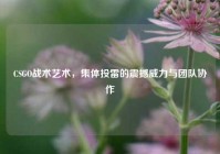 CSGO战术艺术，集体投雷的震撼威力与团队协作