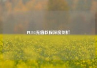 PUBG充值教程深度剖析