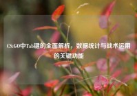 CS:GO中Tab键的全面解析，数据统计与战术运用的关键功能