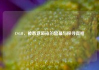 CSGO，被恶意渲染的黑幕与探寻真相