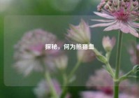 探秘，何为熊猫血