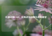 红星闪耀CSGO，经典战役回顾与未来展望
