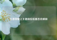 王者荣耀上王者段位后是否会掉段