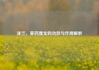 泽兰，草药瑰宝的功效与作用解析