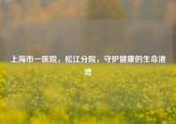 上海市一医院，松江分院，守护健康的生命港湾