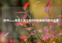 探寻Steam黑暗之魂完美存档的奥秘与背后故事