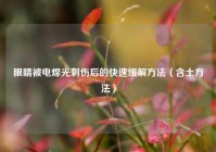 眼睛被电焊光刺伤后的快速缓解     （含土     ）
