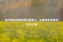 和平精英创意剪辑功能     ，玩家体验受损及应对之策