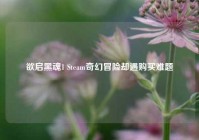 欲启黑魂1 Steam奇幻冒险却遇购买难题