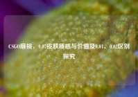 CSGO磨损，0.07皮肤质感与价值及0.01、0.02区别探究