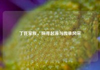 丁氏家族，探寻起源与传承风采