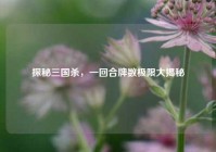 探秘三国杀，一回合牌数极限大揭秘
