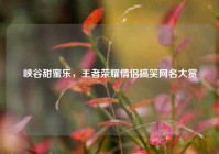 峡谷甜蜜乐，王者荣耀情侣搞笑网名大赏
