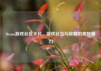 Steam游戏社区卡片，游戏社交与收藏的独特魅力