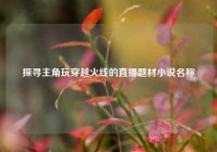 探寻主角玩穿越火线的直播题材小说名称