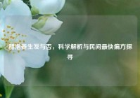 醋泡姜生发与否，科学解析与民间最快偏方探寻