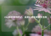 CSGO中的独特印记，流浪匕首及其英文名称