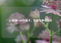 Uzi直播CSGO开箱子，热度与争议交织