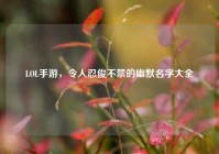 LOL手游，令人忍俊不禁的幽默名字大全