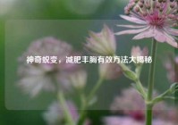 神奇蜕变，减肥丰胸有效     大揭秘