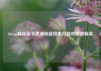 Steam森林新手速通秘籍探索与游戏     畅享