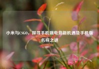 小米与CSGO，探寻手机端电竞新机遇及手机版名称之谜