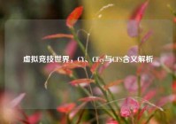 虚拟竞技世界，CY、CFcy与CFS含义解析