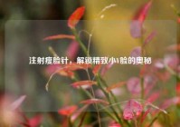 注射瘦脸针，解锁精致小V脸的奥秘