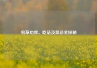 虫草功效、吃法及禁忌全探秘